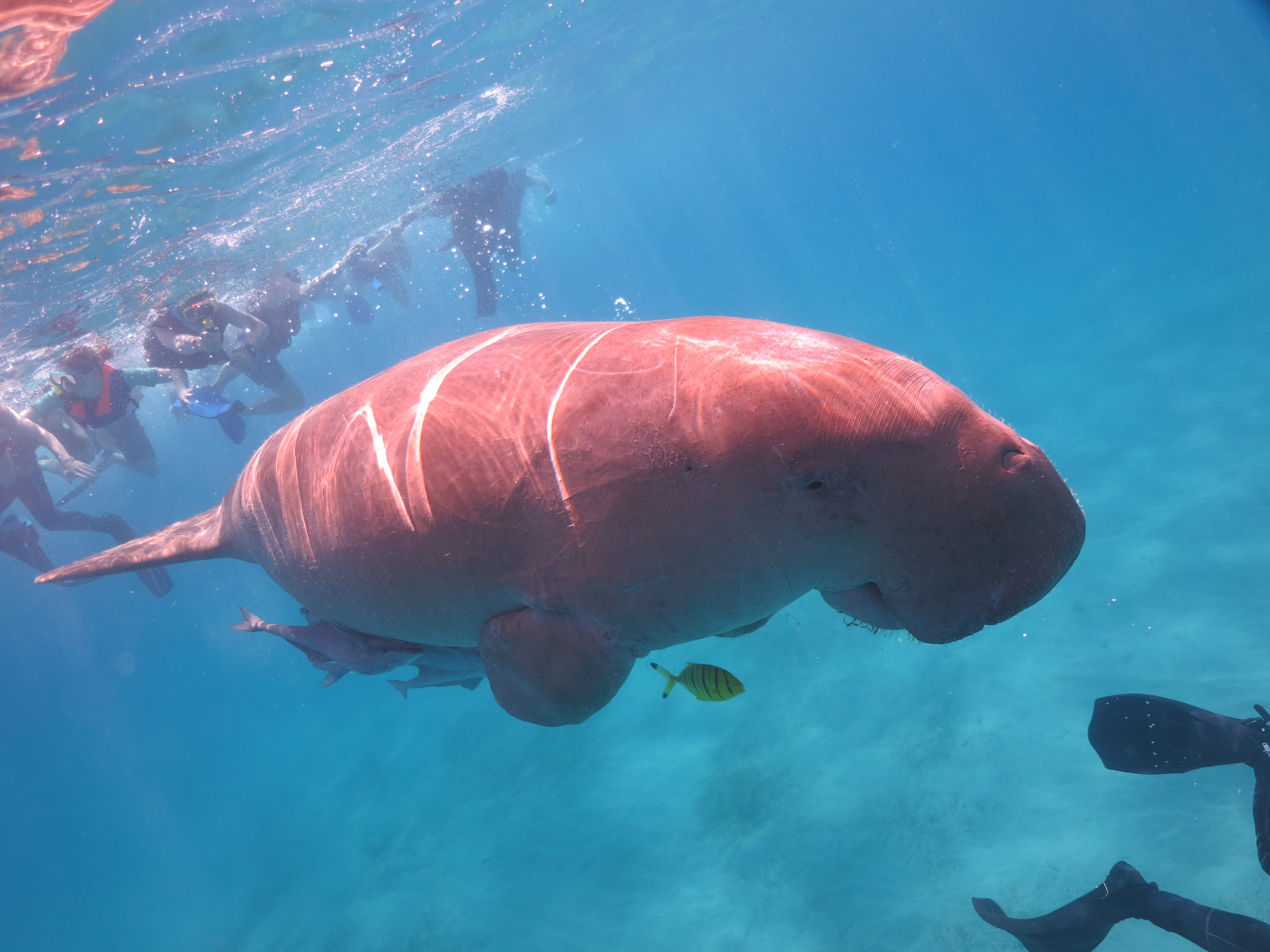 Adventure tour in Patagonia by Vibz Travel Agency